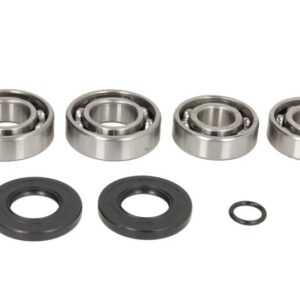 Kit reparare cutie de viteze (rulmenti și garnituri incluse) pentru POLARIS SPORT 400 1999-1999