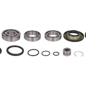 Set de rulment diferential si garnitura pentru HONDA PIONEER 700 2014-2021